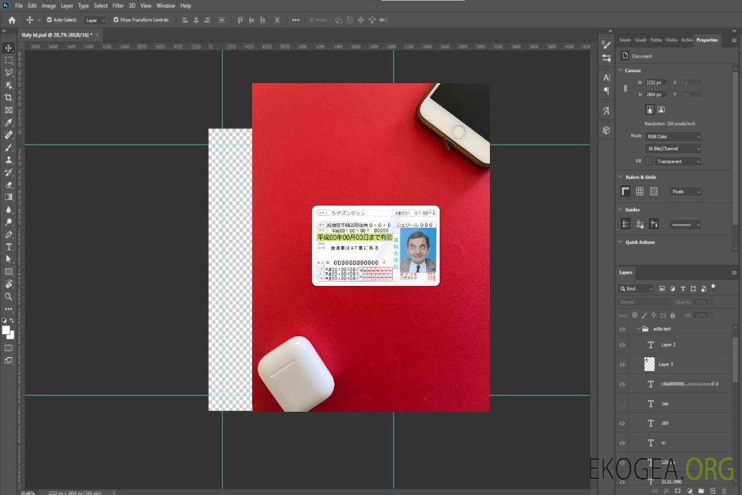 Permis de conduire japonais version 2 photolook AVANT template